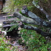 三千院の小川