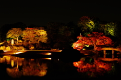 六義園の紅葉