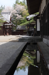 江戸の町並み