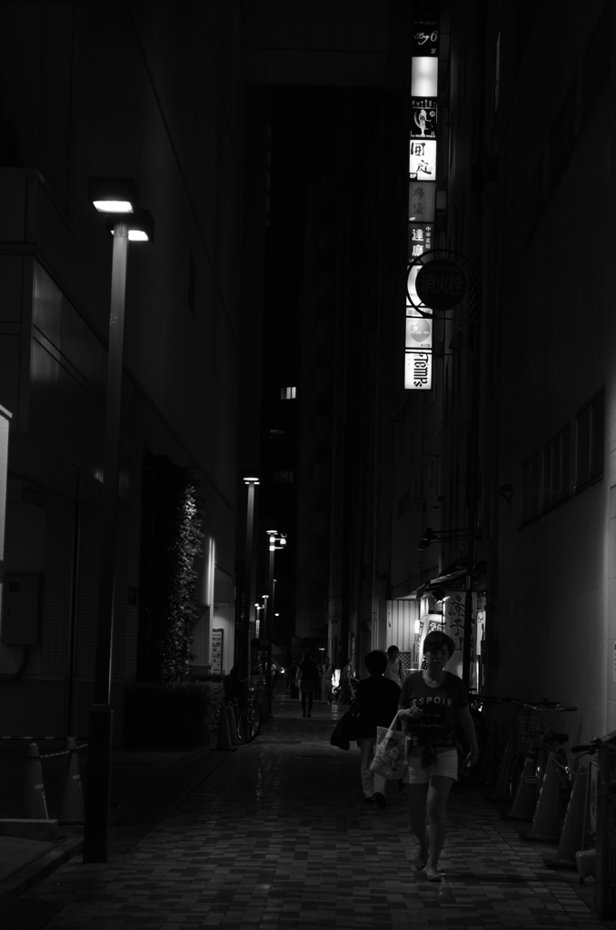 夜の道