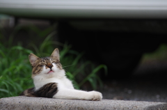 気もちいい表情