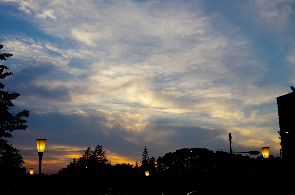 Sky
