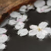 散った桜もまた風流。