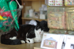 駄菓子屋のおみせばん