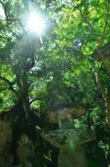 燈籠　磐船神社
