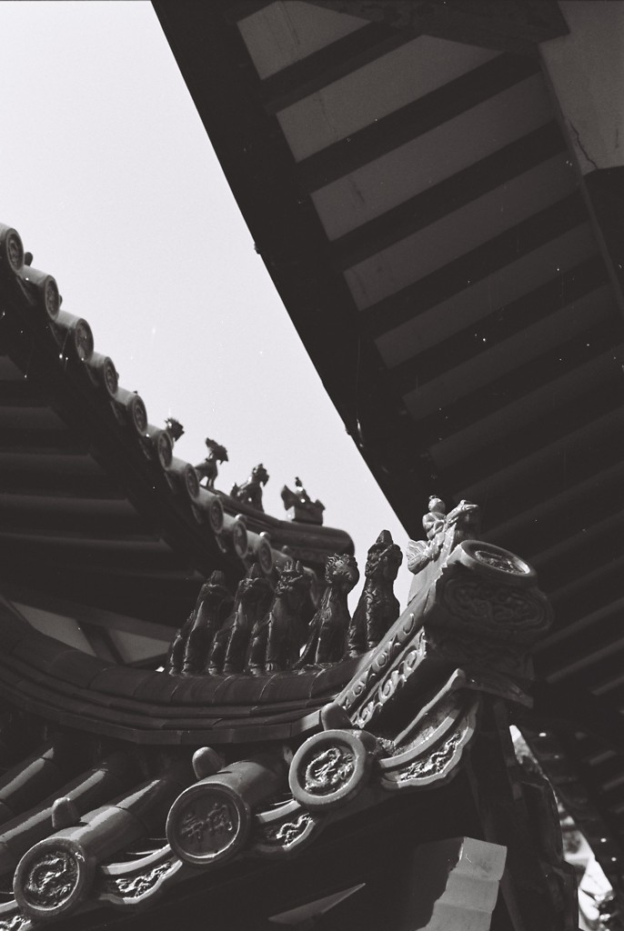 大陸屋根