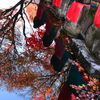 紅葉とお地蔵