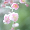 春間近