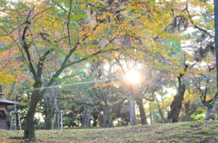 奈良公園
