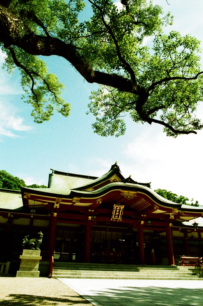 西宮神社