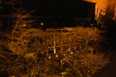 清水寺のライトアップ