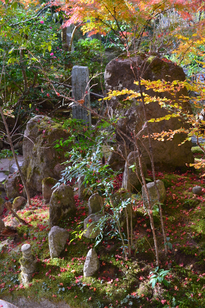 宝楽園