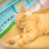 夢の中へ