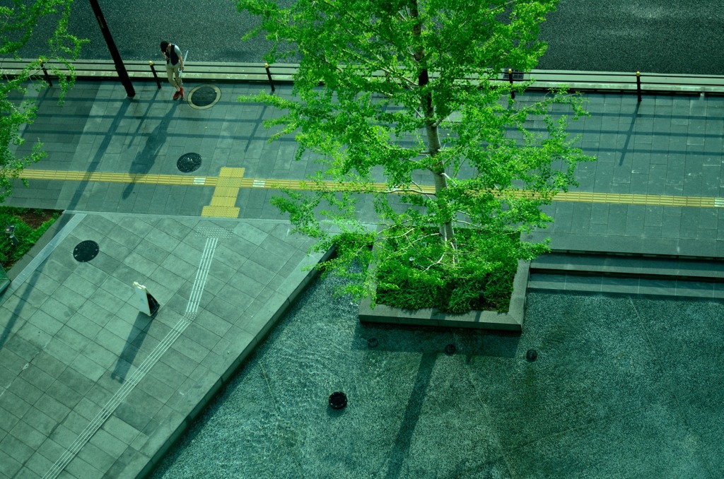 雨上がり