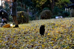 行かないで・・・