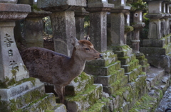 馴染んでる