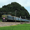 深緑カメレオン