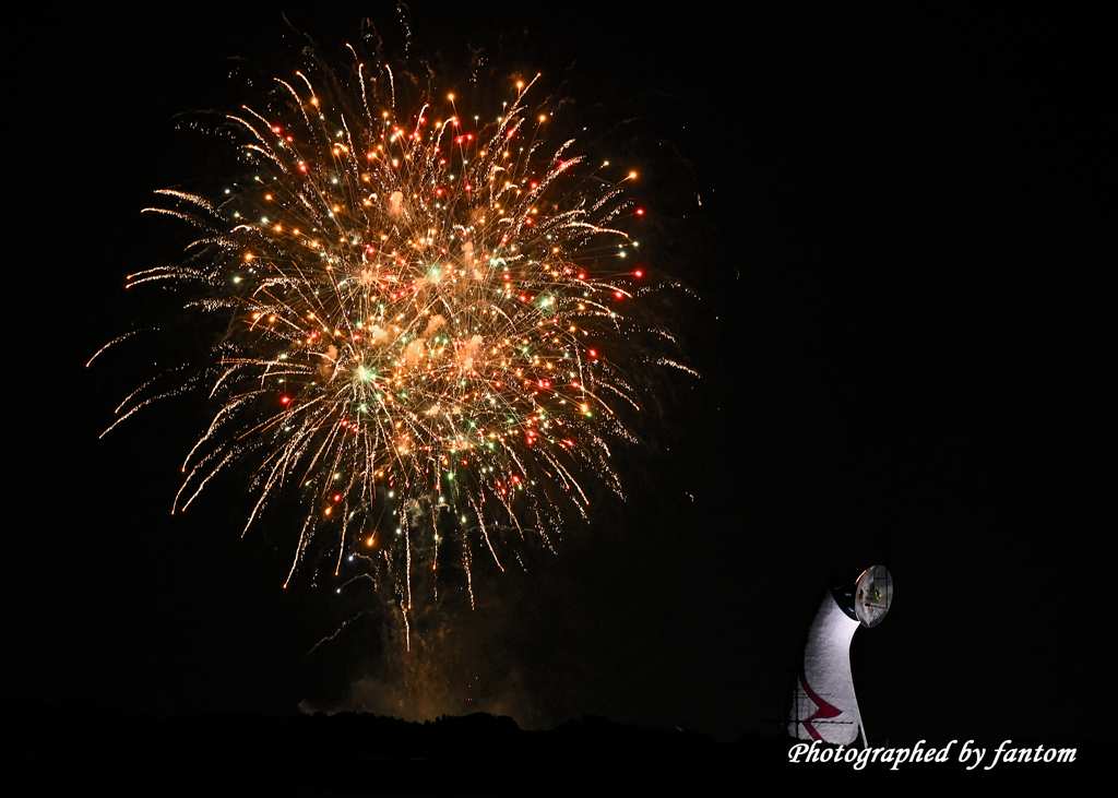 夜空の華