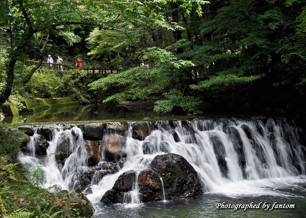 癒しの川辺