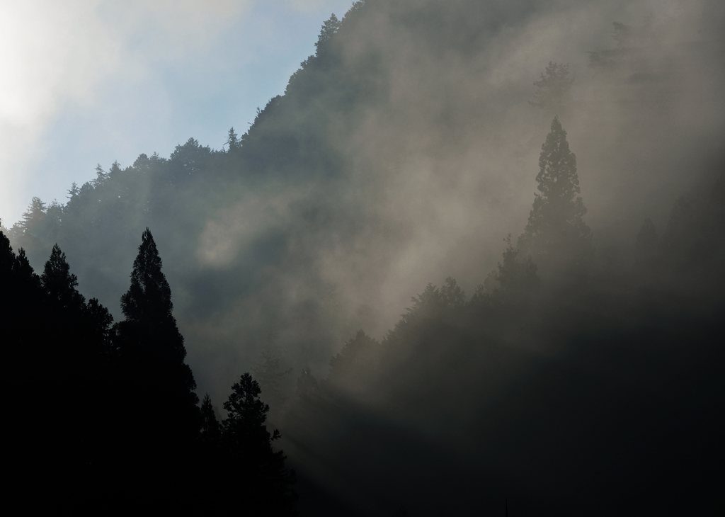 山霧立つ