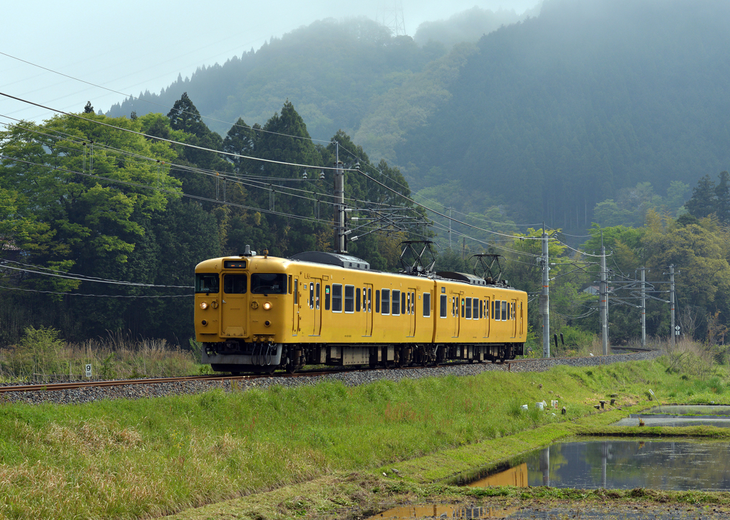 新緑を走る