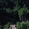 夏の終わり