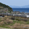 今や湖西の一枚看板