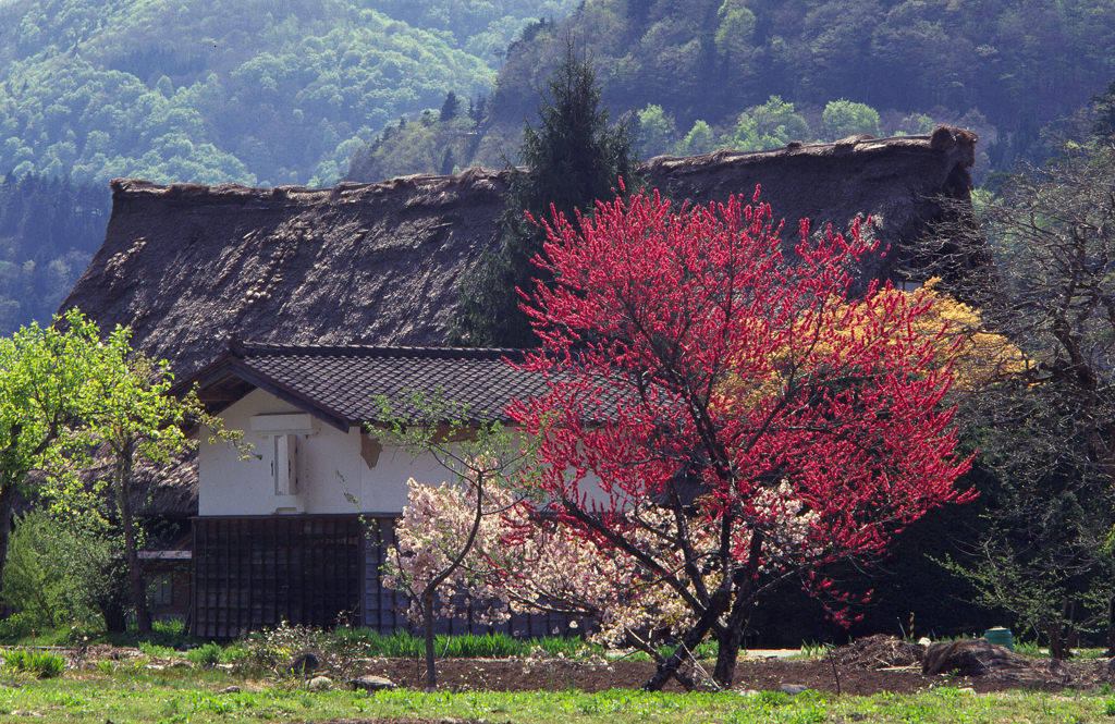 山里