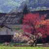 山里