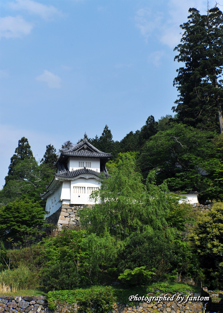新緑の古城