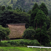 庵