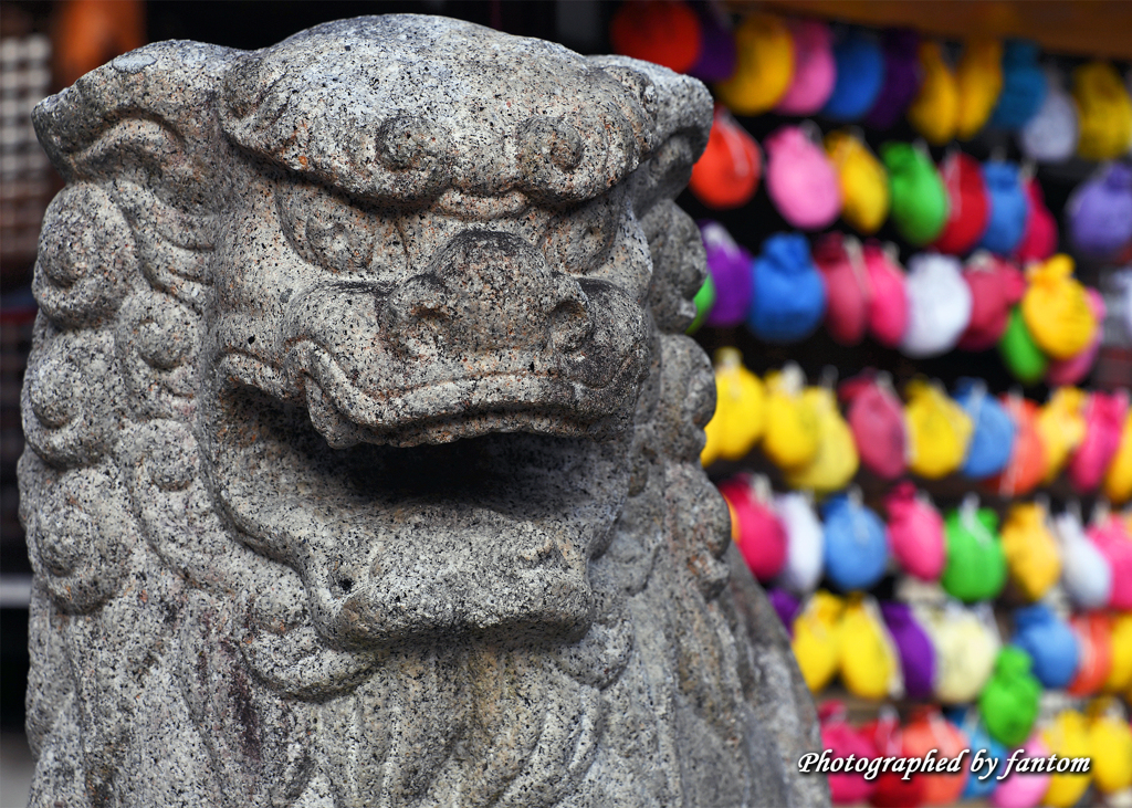 宝寺のSP