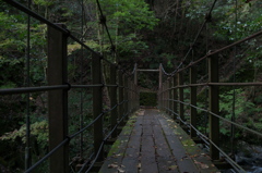 木橋