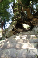 DSC08950