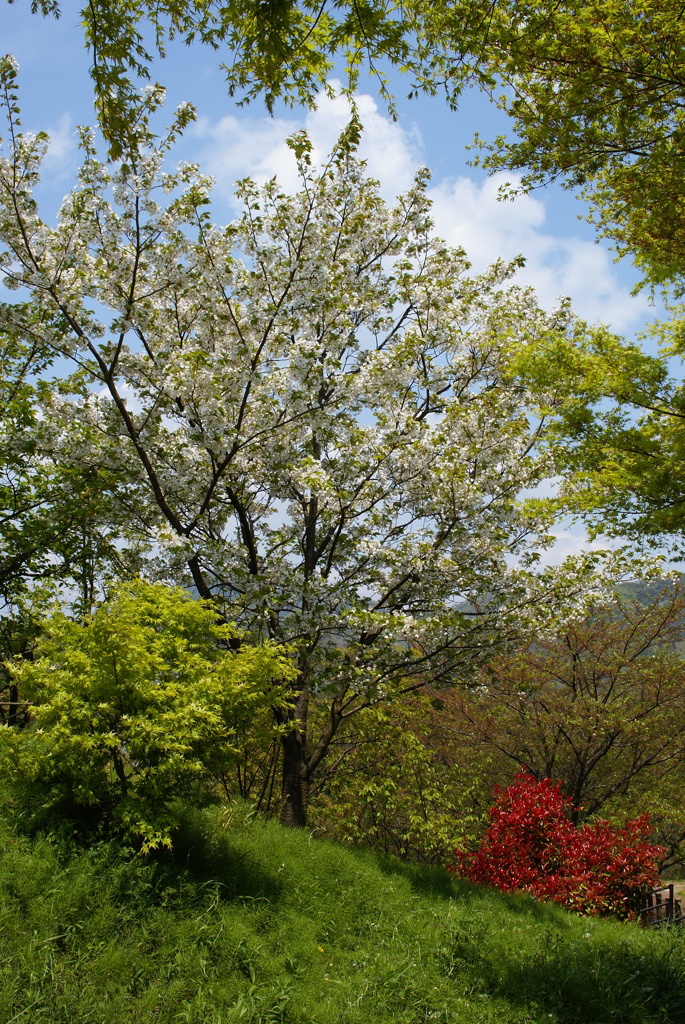 DSC09046