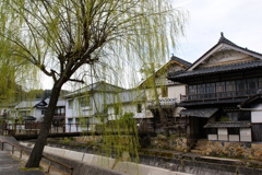DSC00409