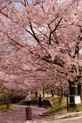 DSC00249
