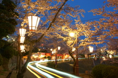 夜桜