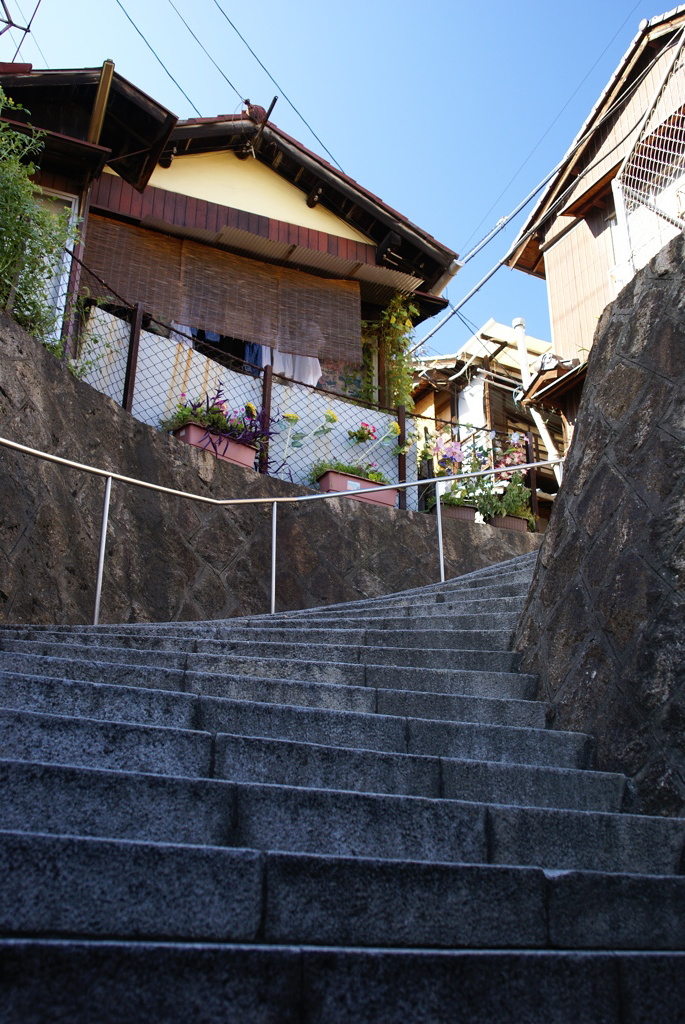 DSC09334