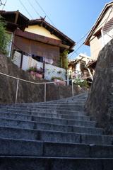 DSC09334