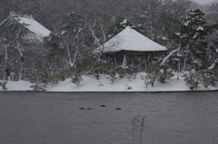 風雪の三渓園