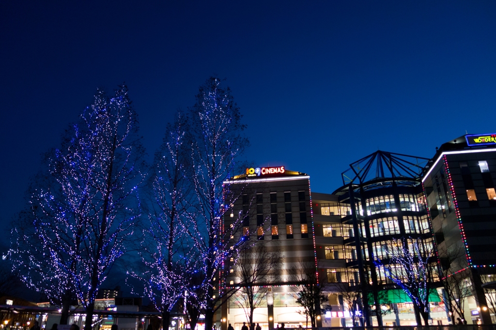 センター南の夜景