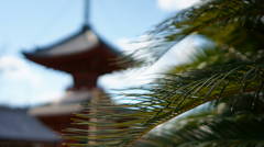 常夏寺