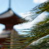 常夏寺