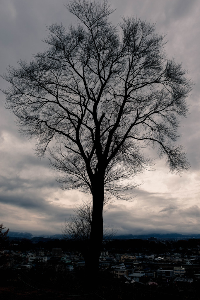 DSC_1495-Edit