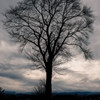 DSC_1495-Edit
