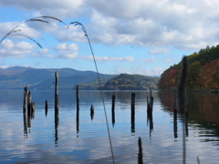 湖畔の風景