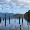 湖畔の風景