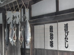 DSCF0881