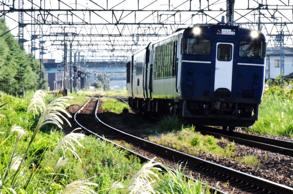 Shu・Kura新潟の地酒列車